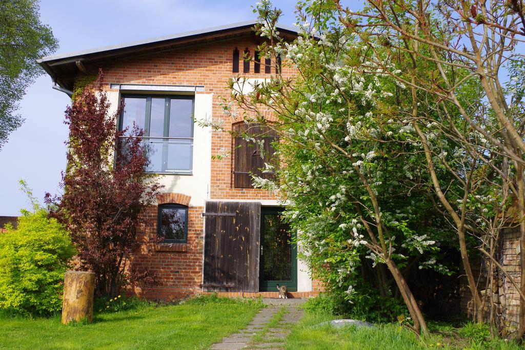 Haus Am See In Kleinzerlang Pokój zdjęcie