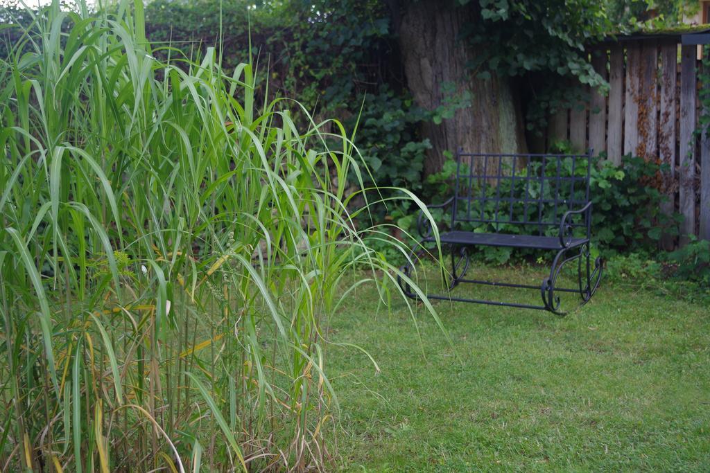 Haus Am See In Kleinzerlang Zewnętrze zdjęcie